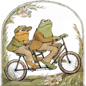 Team Page: dutchbikestolookoutfor